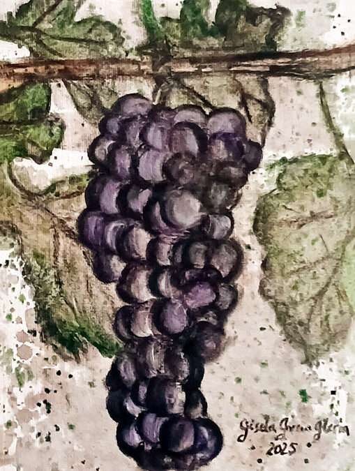 Viejo Cabernet Sauvignon